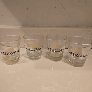 NFL Team Shot Glasses Set 4 Seattle Seahawks 1oz Men Party Bar Whiskey Tequila